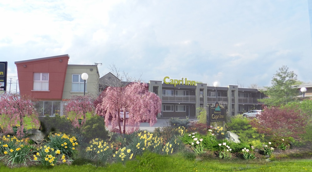 Capri Inn 3/54