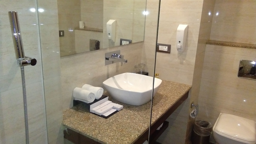 Ascent Biz Hotel 14/44