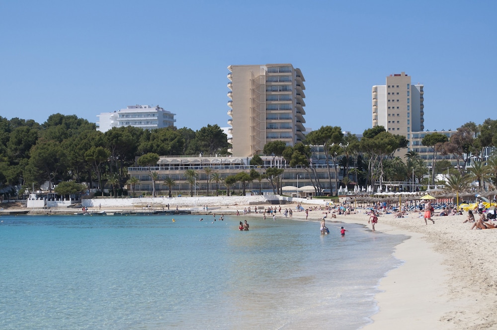 Melia Calvia Beach 48/50