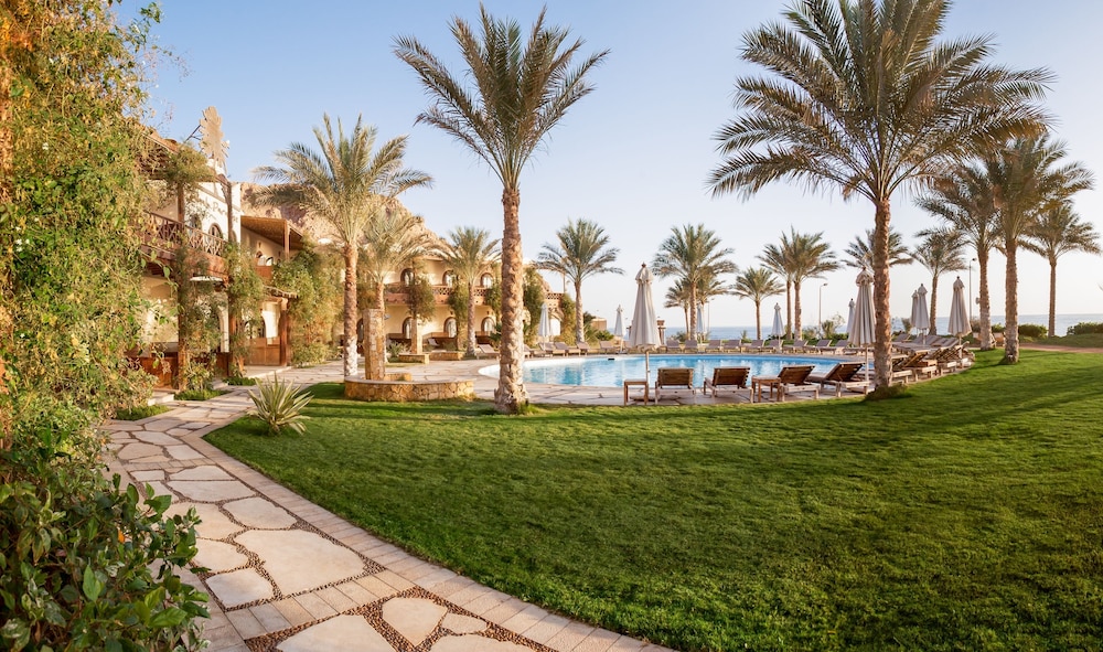 Dahab Paradise 7/45