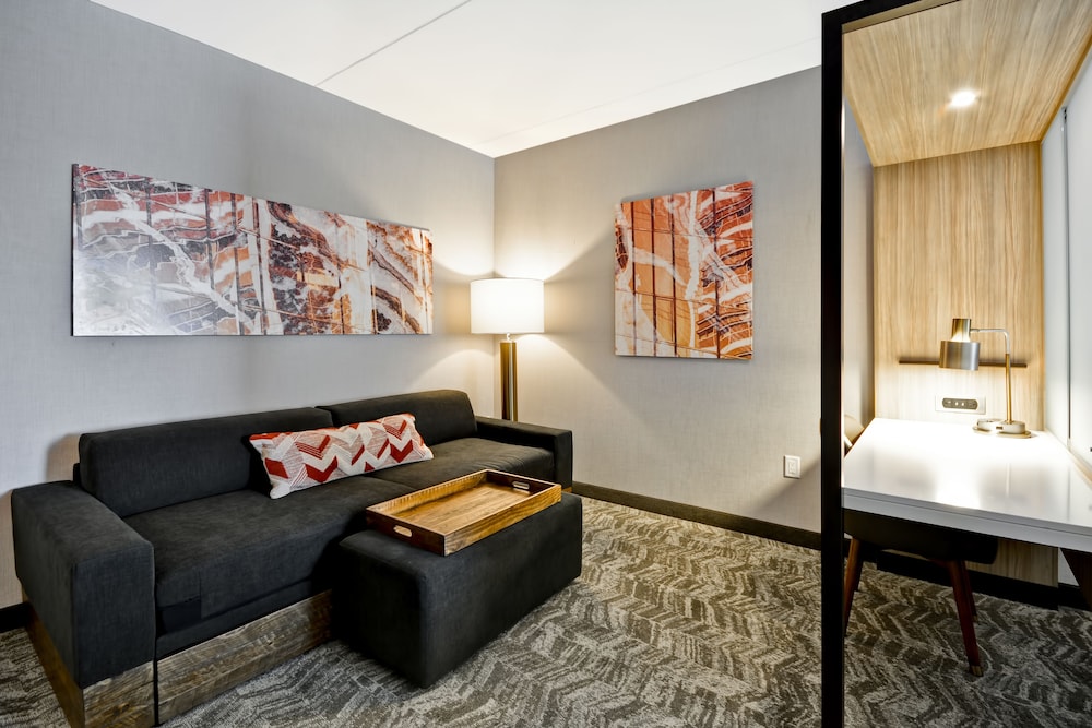 Springhill Suites Cincinnati Blue Ash 28/46