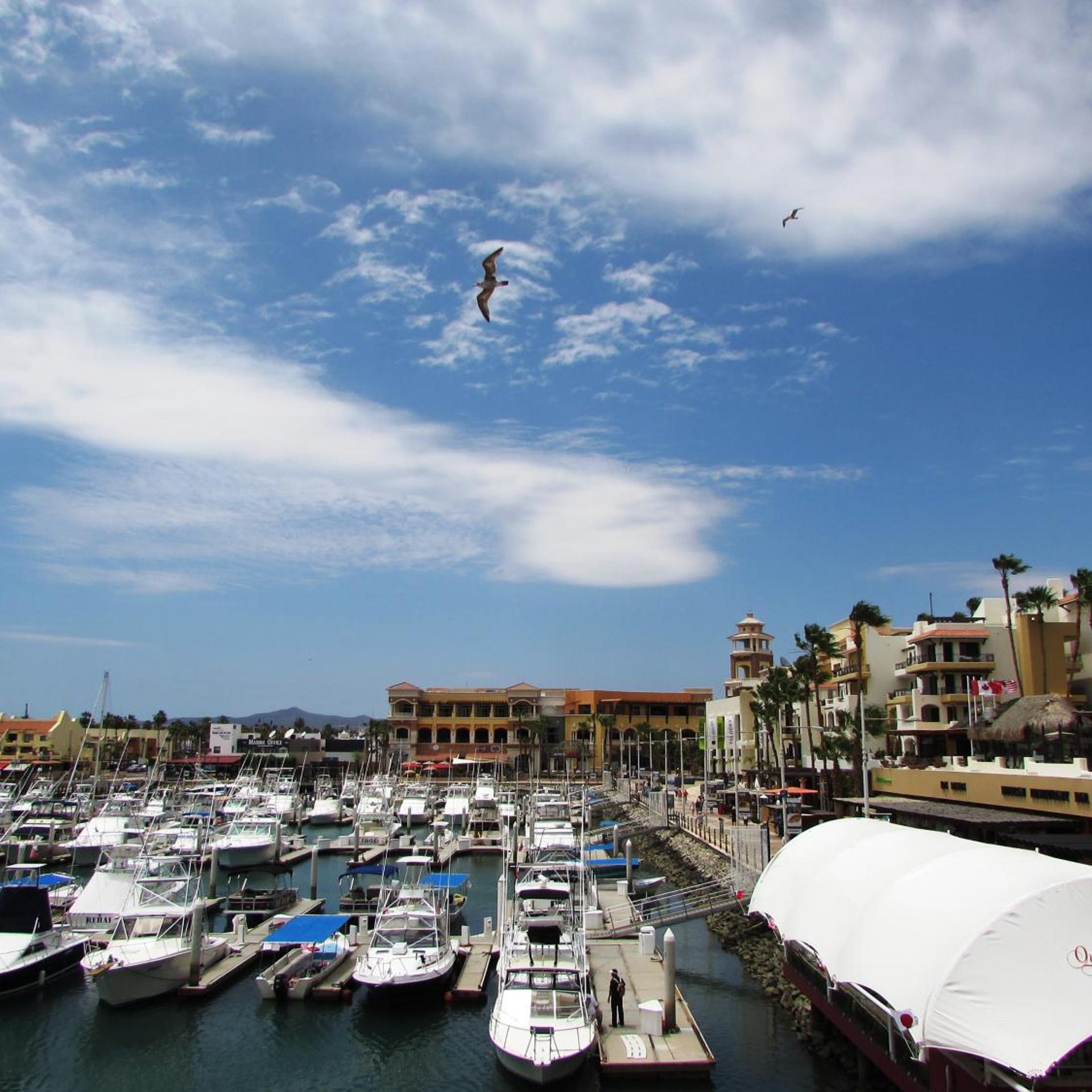 Marina Town &amp; Beach Studios 60/62