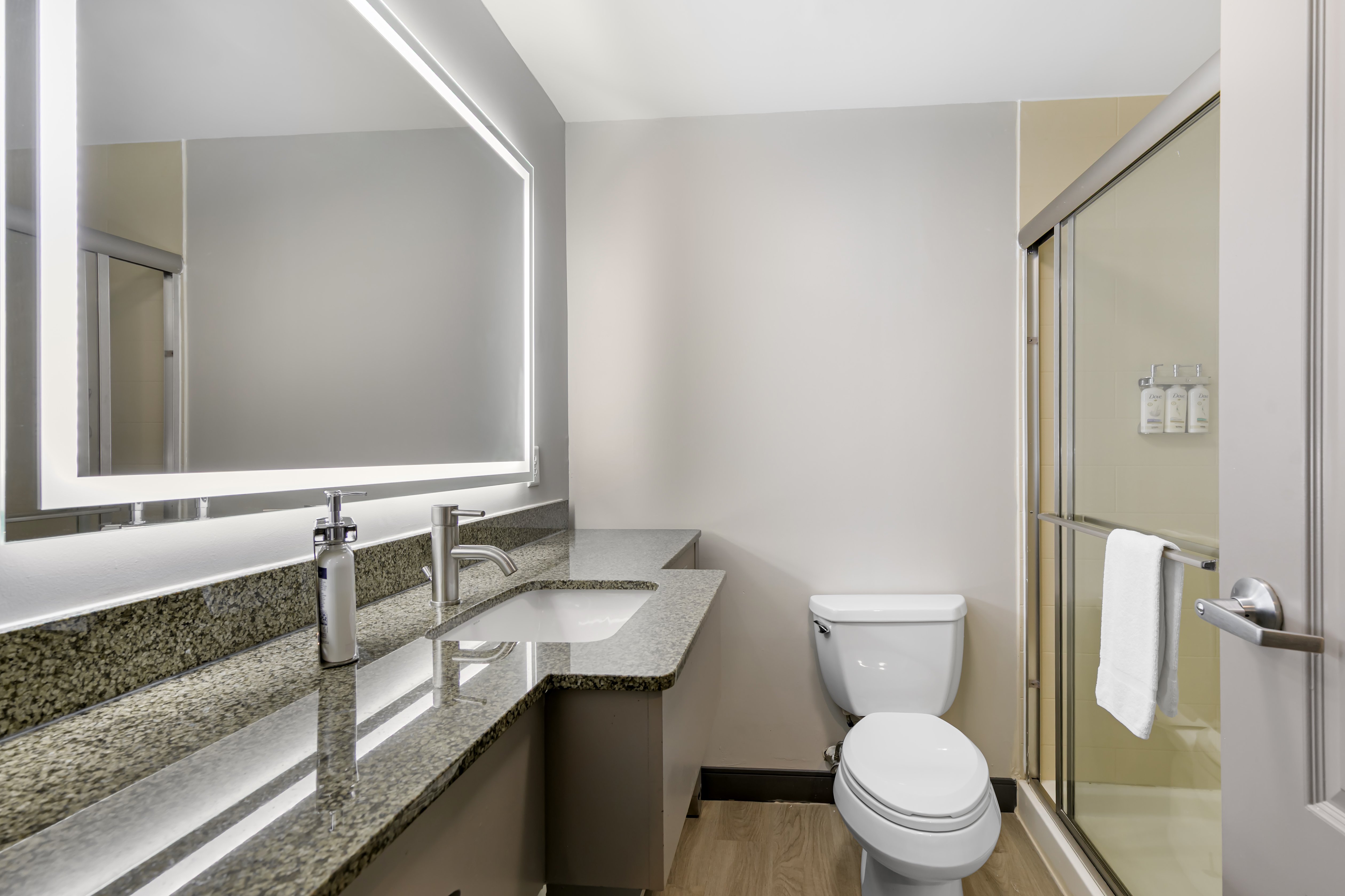 Holiday Inn Express & Suites Clemson - Univ Area 79/82