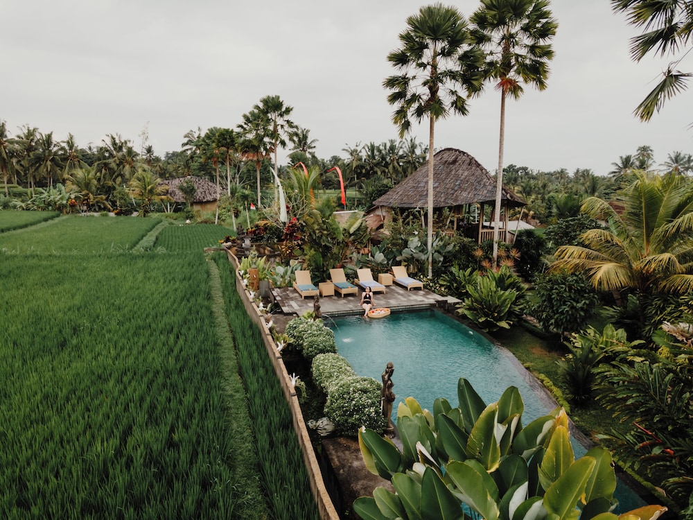 Padi Bali Eco Villas 19/27