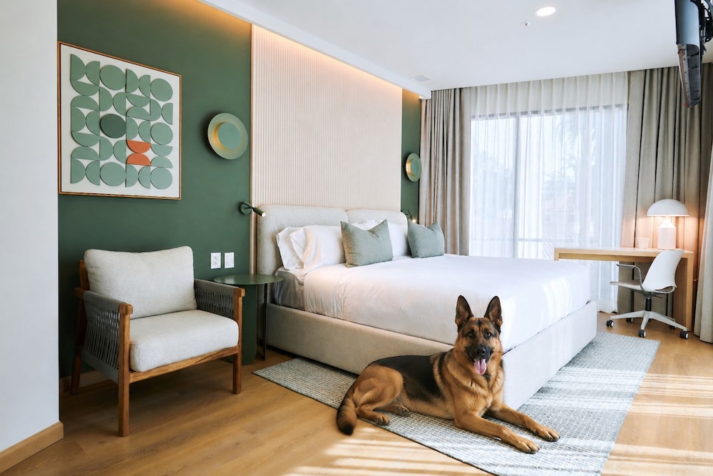 WorldHotels Guadalajara Zona Andares 24/62