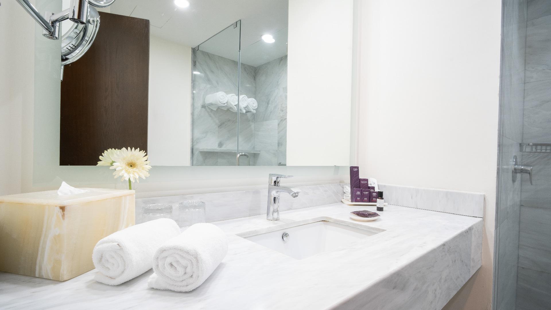 Standard, Double Bed, Panoramic View, Hs Hotsson Hotel Queretaro 3/4