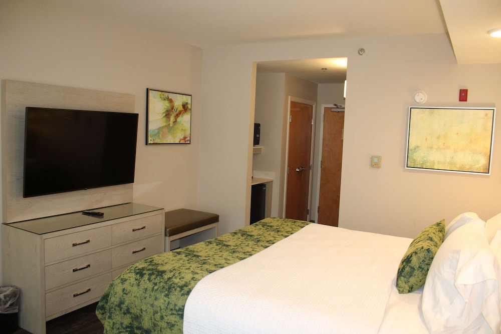 Best Western Premier I-95 Savannah Airport/ Pooler West 14/34