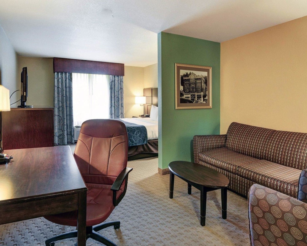 Comfort Suites Hot Springs 31/49