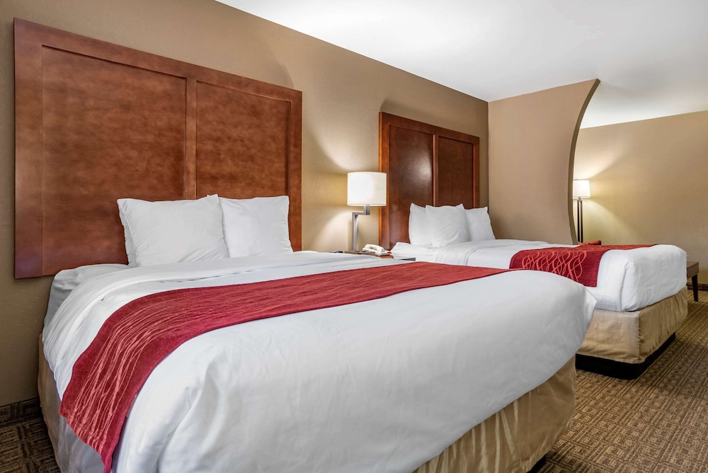 Comfort Inn & Suites Leeds I-20 6/18