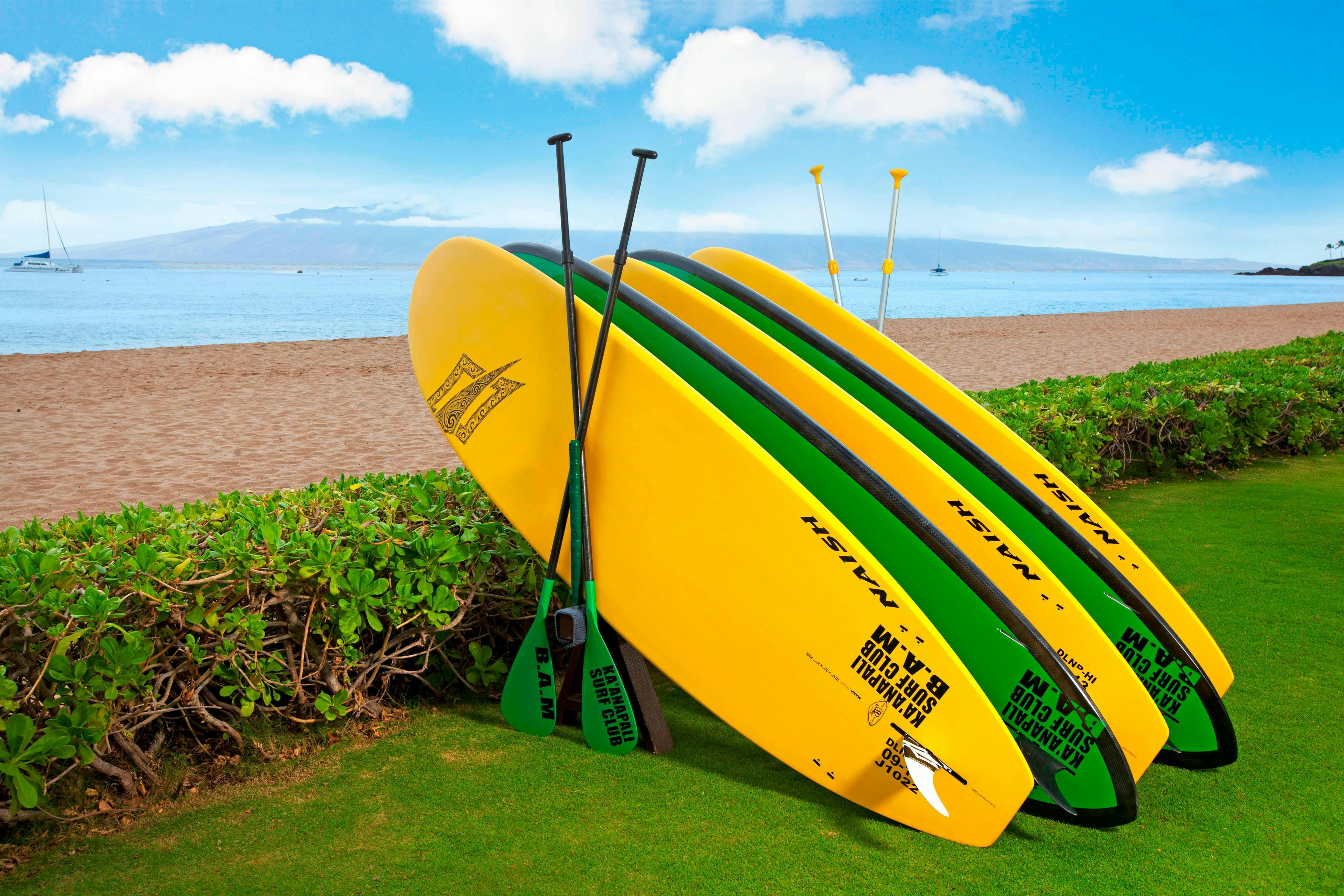 The Westin Maui Resort & Spa, Ka'anapali 39/80