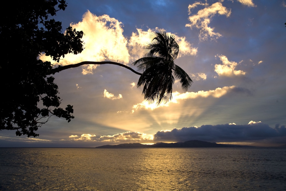 Garden Island Resort 14/23