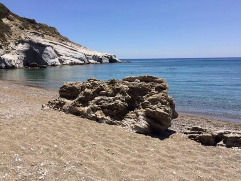 Elenas Beach Garden 8/16