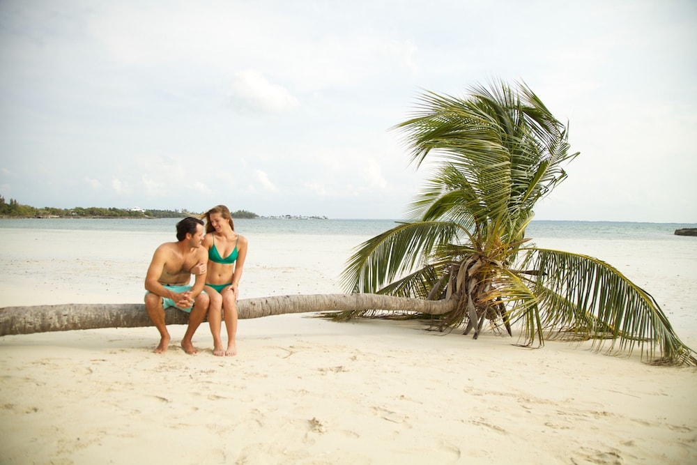 Green Turtle Club Resort Marina 28/46