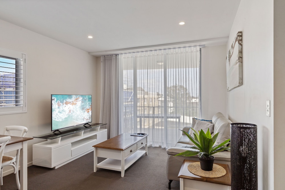 Verve On Cotton Tree 27/50