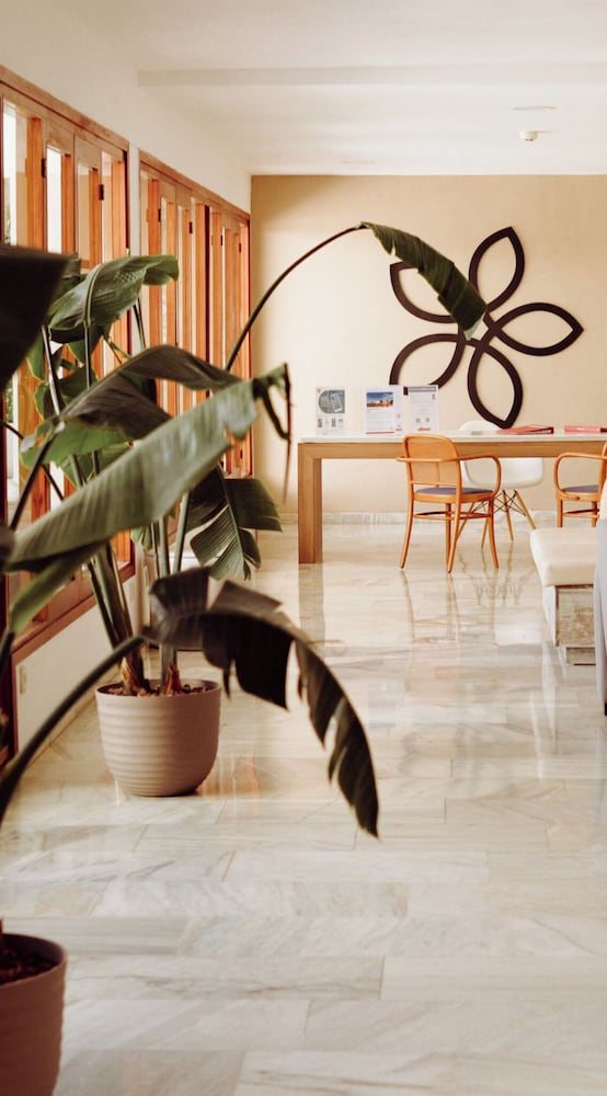 Sentido Fido Tucan - Adults Only 10/50
