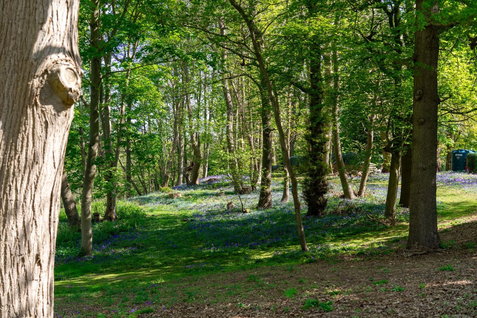 Milsoms Kesgrave Hall 28/31