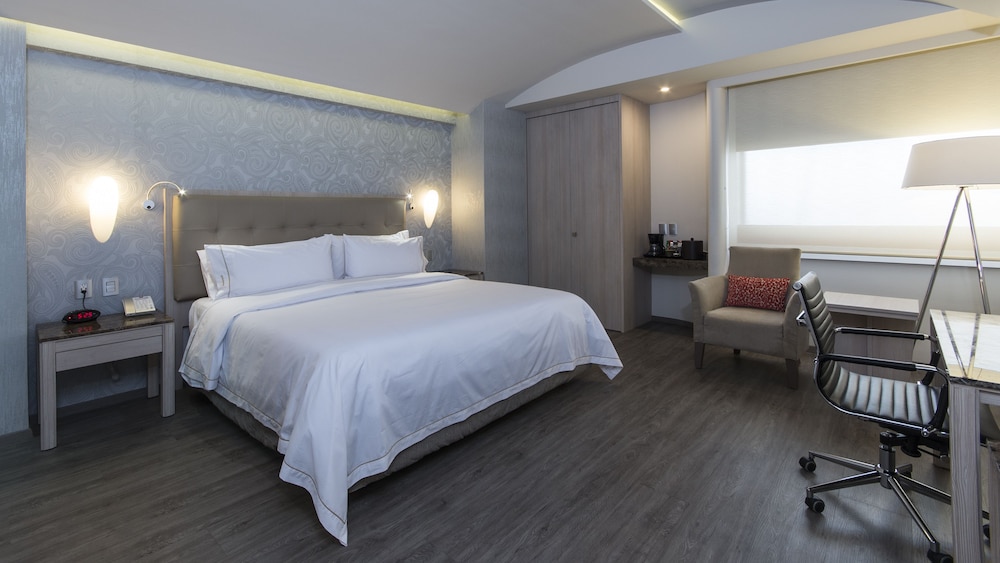 HOLIDAY INN EXPRESS MEXICO - TOREO 14/58