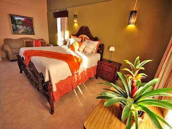 Bavaro Punta Cana Hotel Flamboyan 22/35