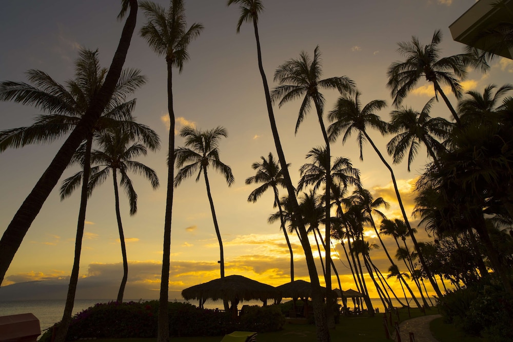 Hyatt Residence Club Maui Kaanapali Beach 44/48