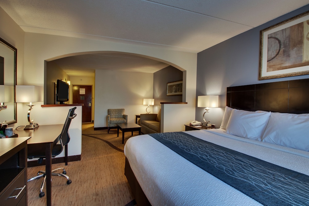 Wingfield Inn Suites 17/49