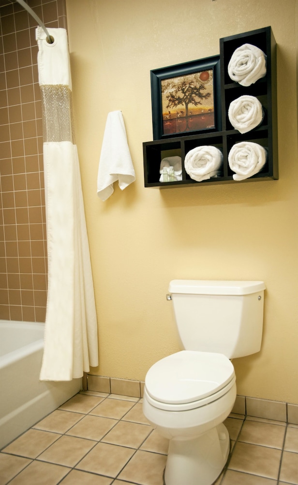 Best Western Plus Forest Park Inn 25/53