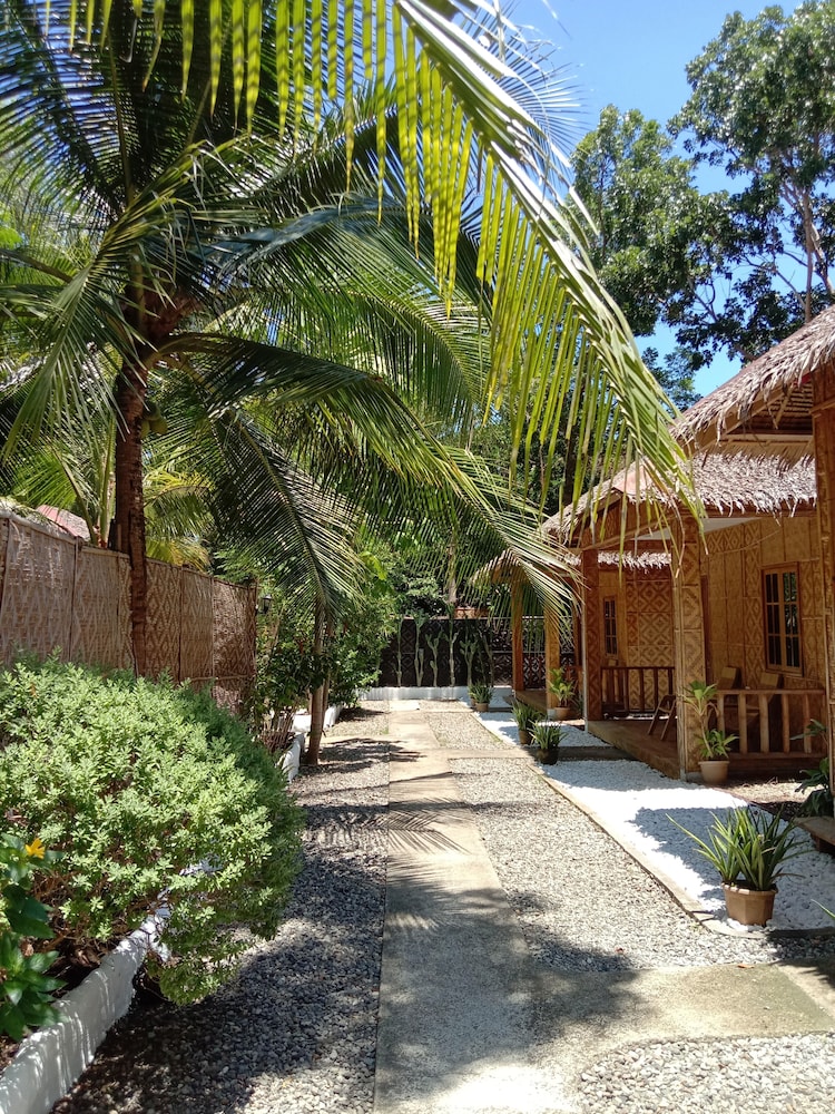 Alona Pawikan Resort 50/58