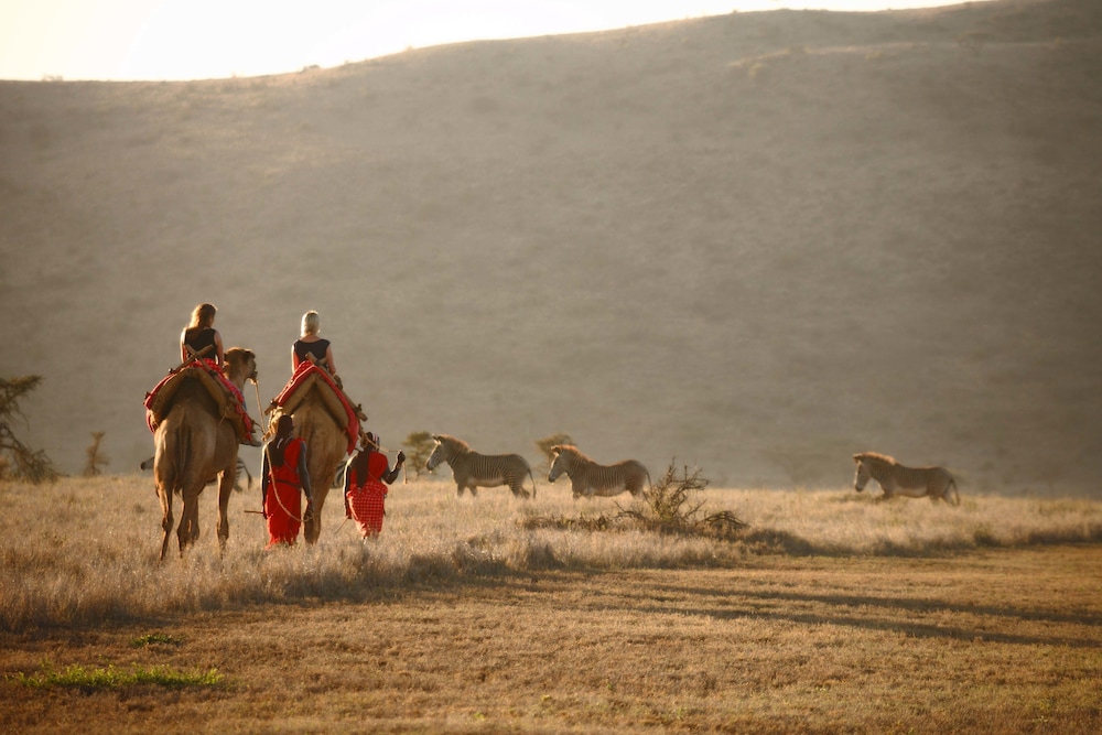 Lewa Safari Camp 37/50