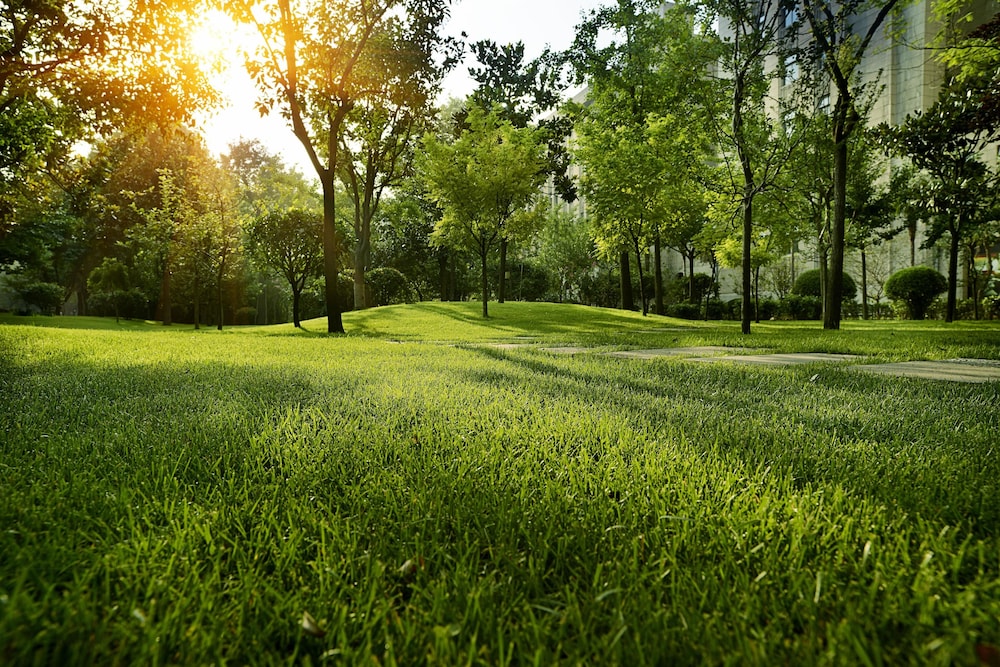 surroundings