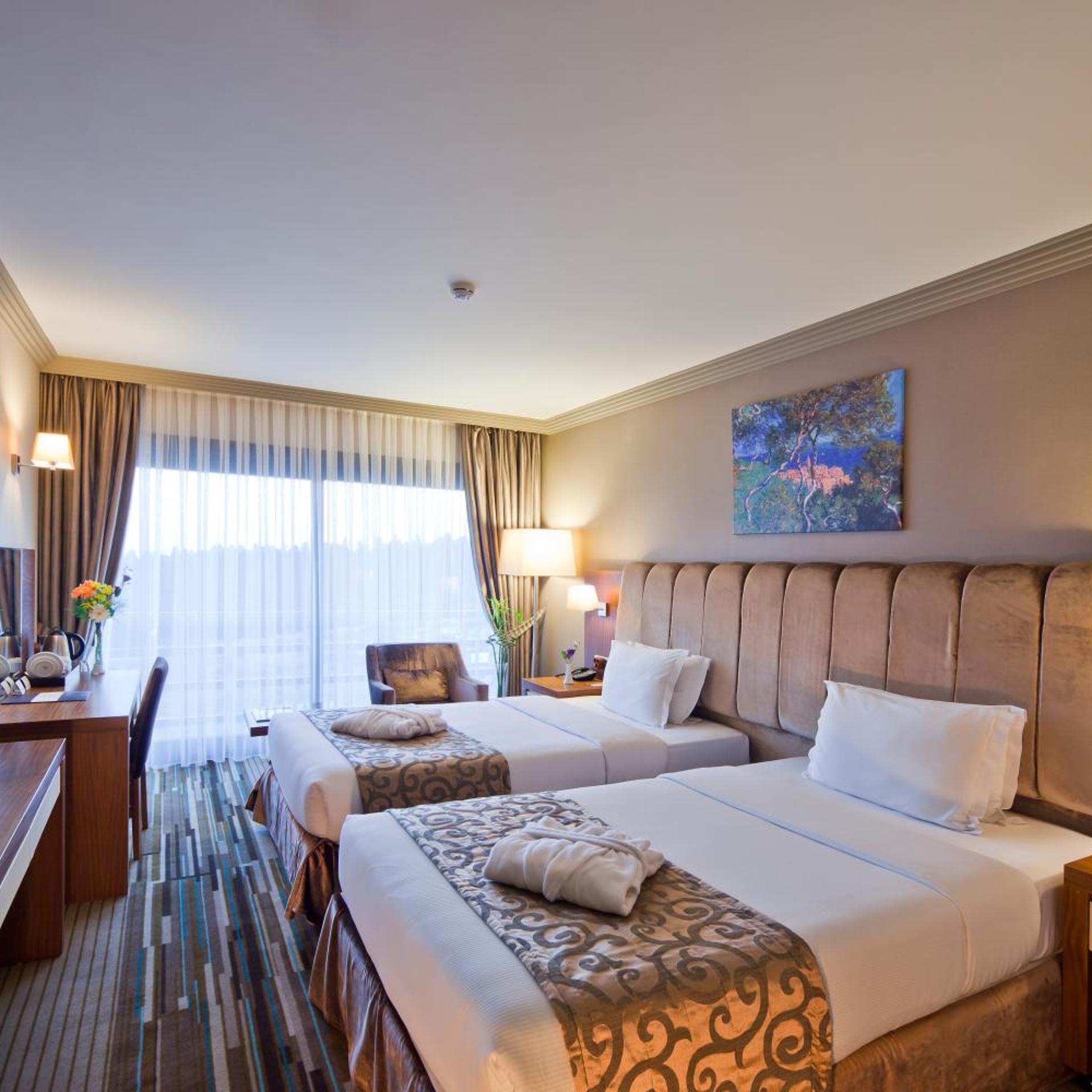 Superior, Double or Twin Bed, City View, VOLLEY HOTEL ISTANBUL 2/6