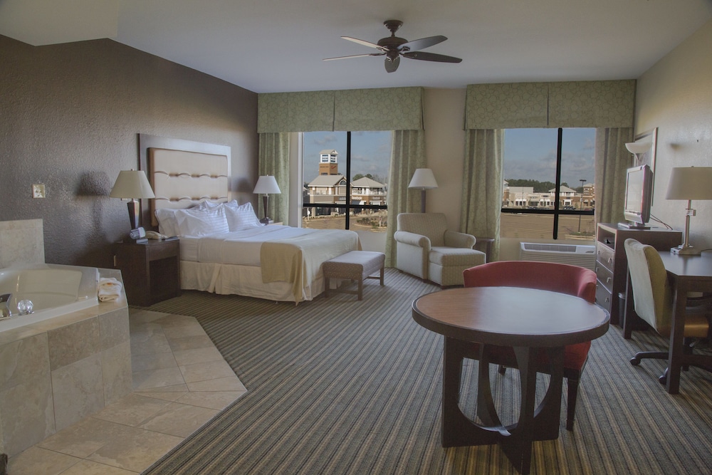 Holiday Inn Pearl - Jackson Area 43/71