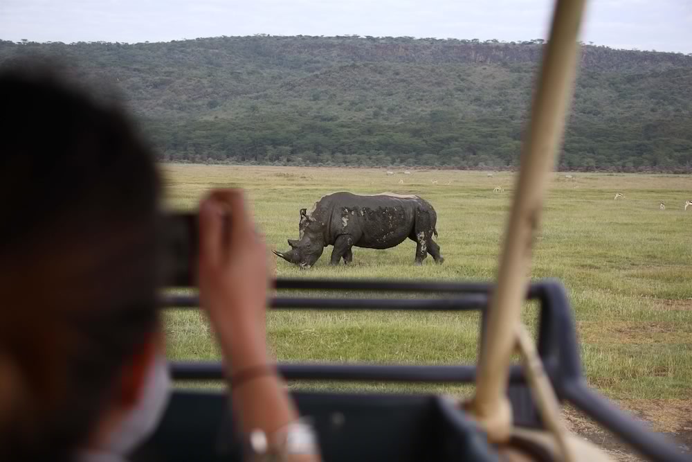 Sarova Lion Hill Game Lodge 40/68