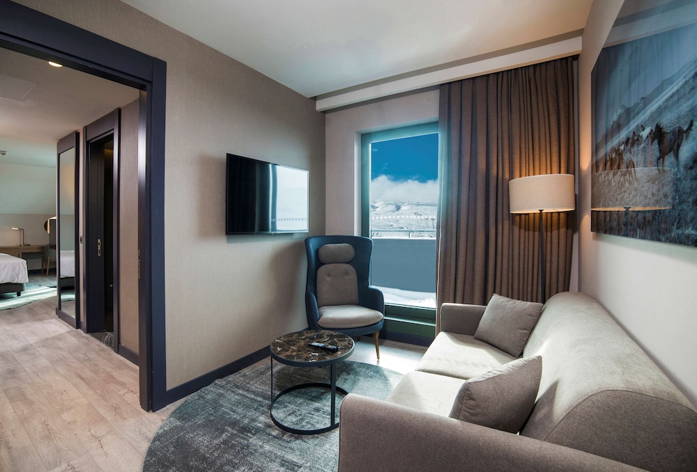 Radisson Blu Hotel Mount Erciyes 45/68