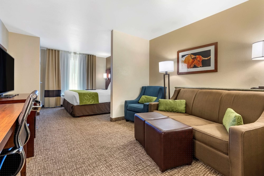 Comfort Suites Fernley 24/34