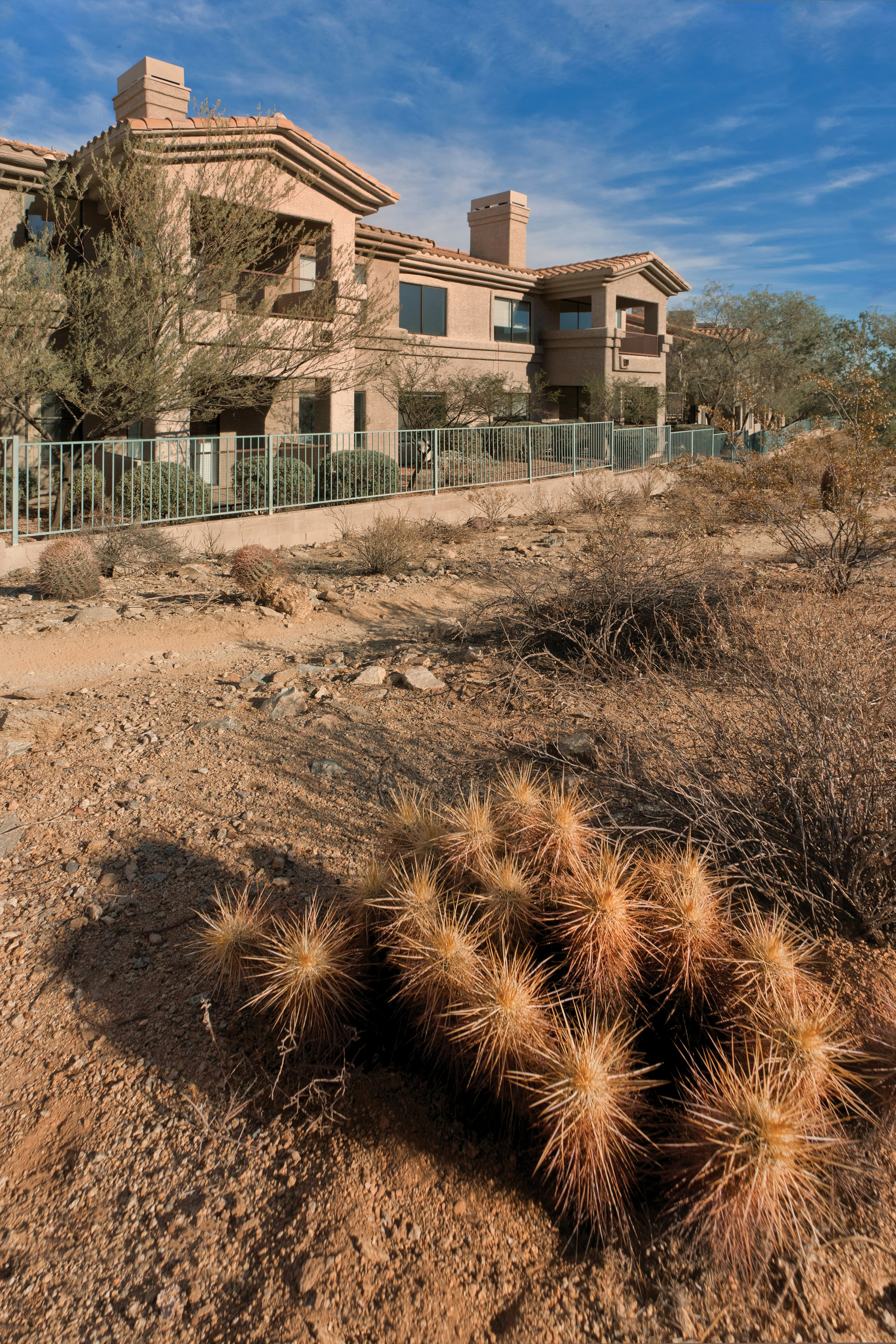 Worldmark Phoenix South Mountain Preserve 27/50