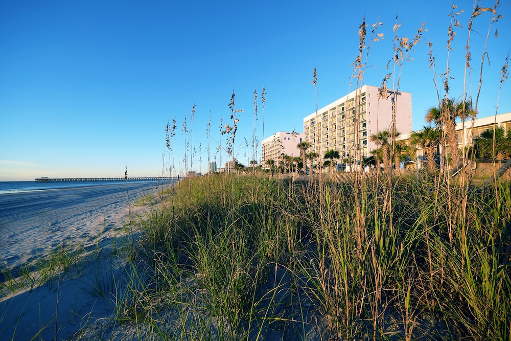 Holiday Sands North On the Boardwalk 38/50
