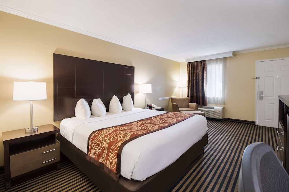 Best Western Mckenzie 19/34
