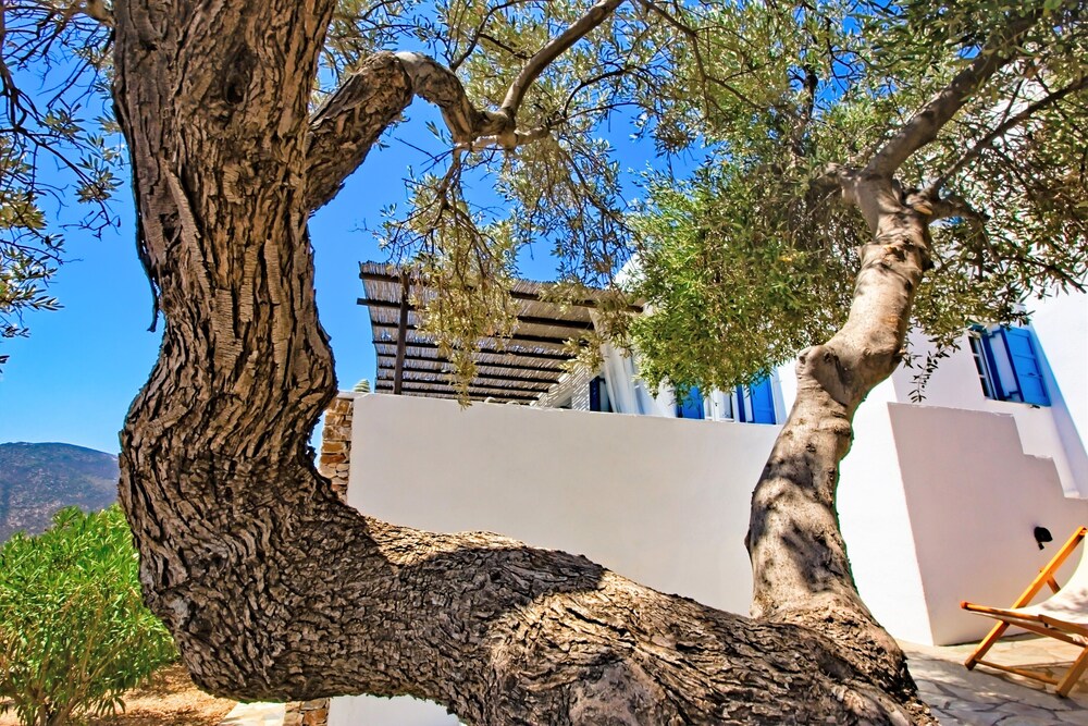 Sifnos Residence 16/21