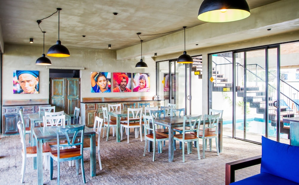 Lazy Koala Hostel - Adults Only 24/36