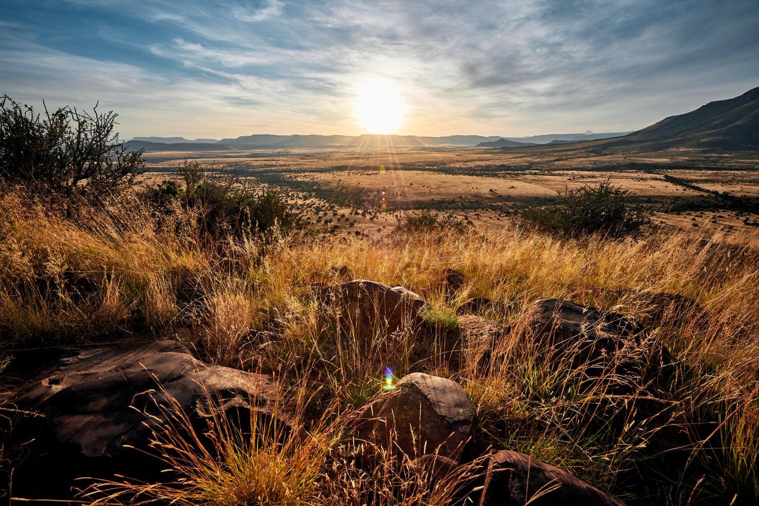 Glen Harry Game Reserve 26/44