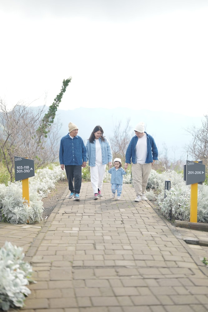 Artotel Cabin Bromo 22/36