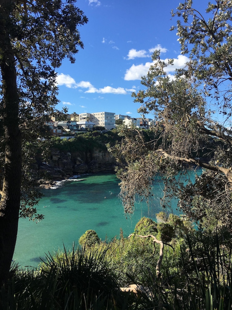 Little Coogee Hotel 58/65