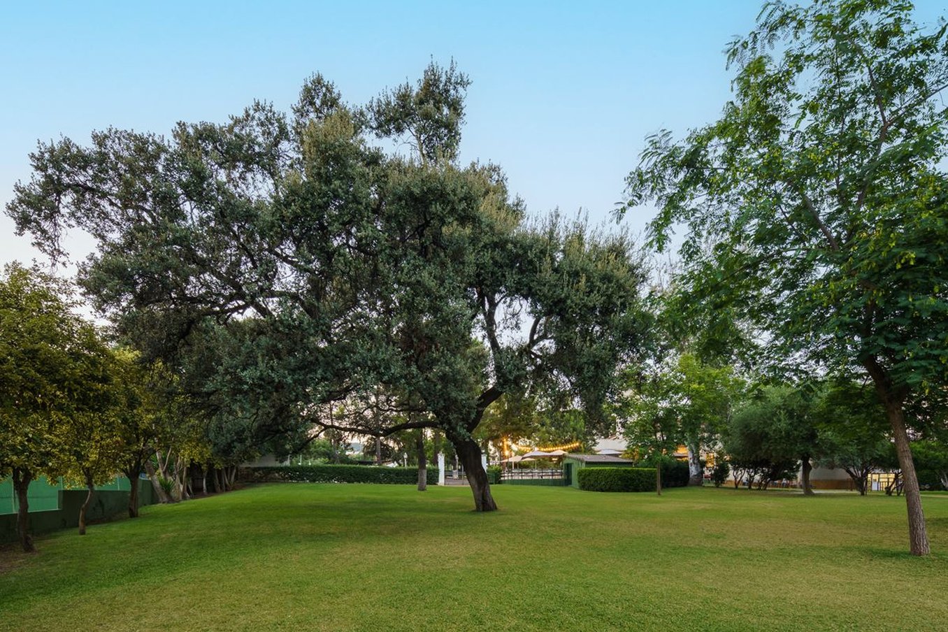Crisol Jardines de Cordoba 72/78
