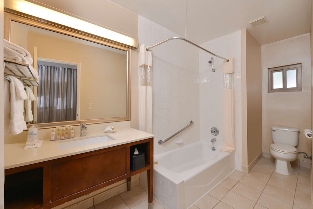 Best Western Royal Palace Inn & Suites 20/46