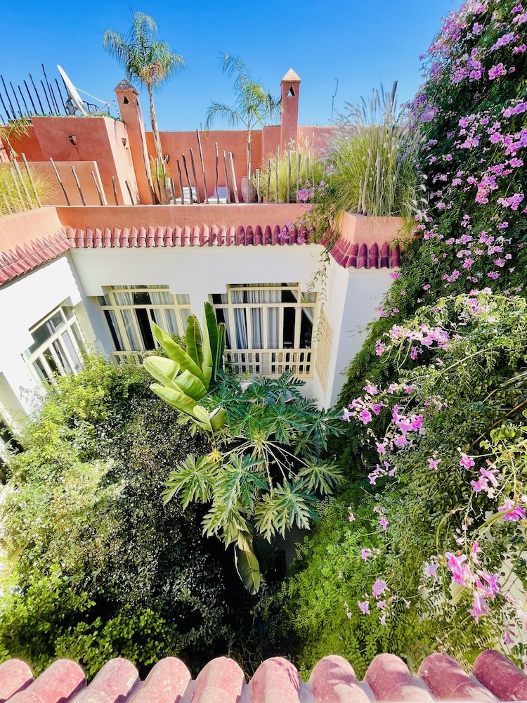 Riad 144 44/50