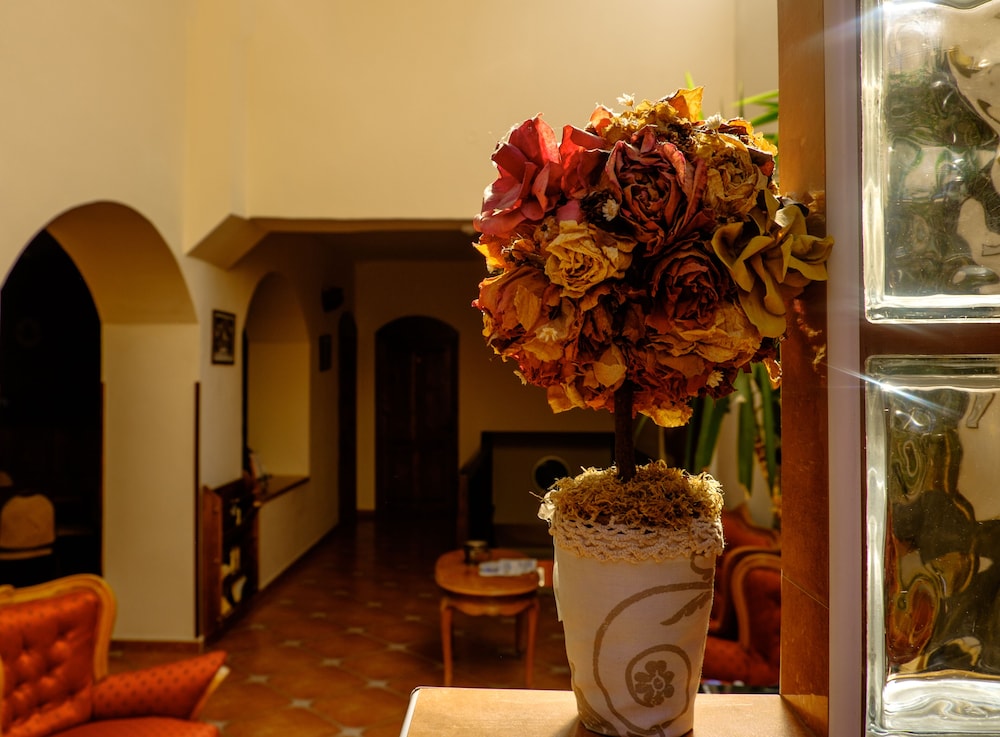 Casa Wagner Brasov 4/50