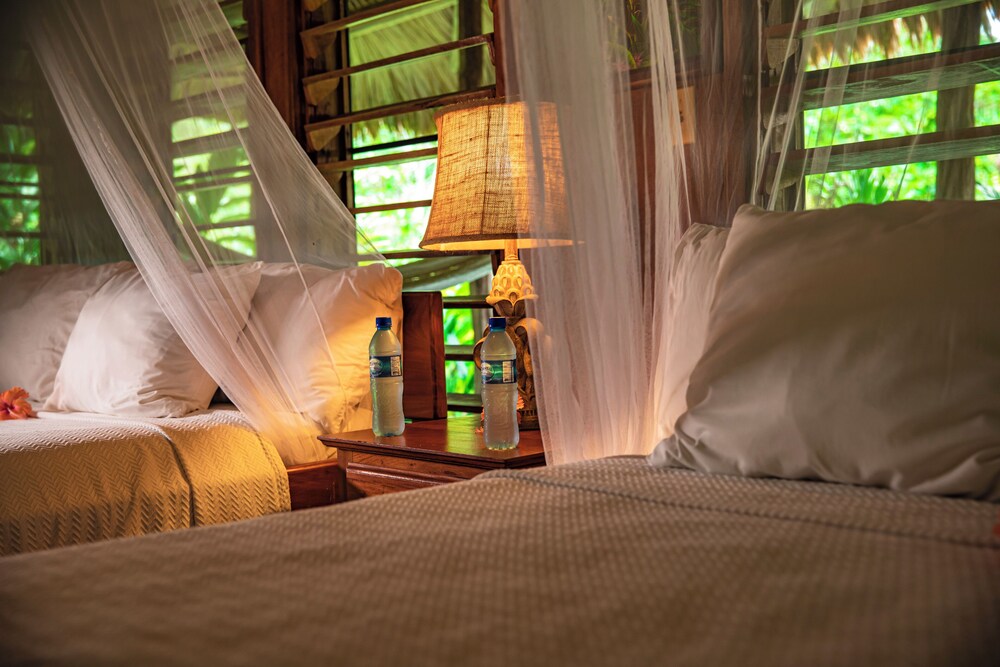 Chan Chich Lodge 20/58