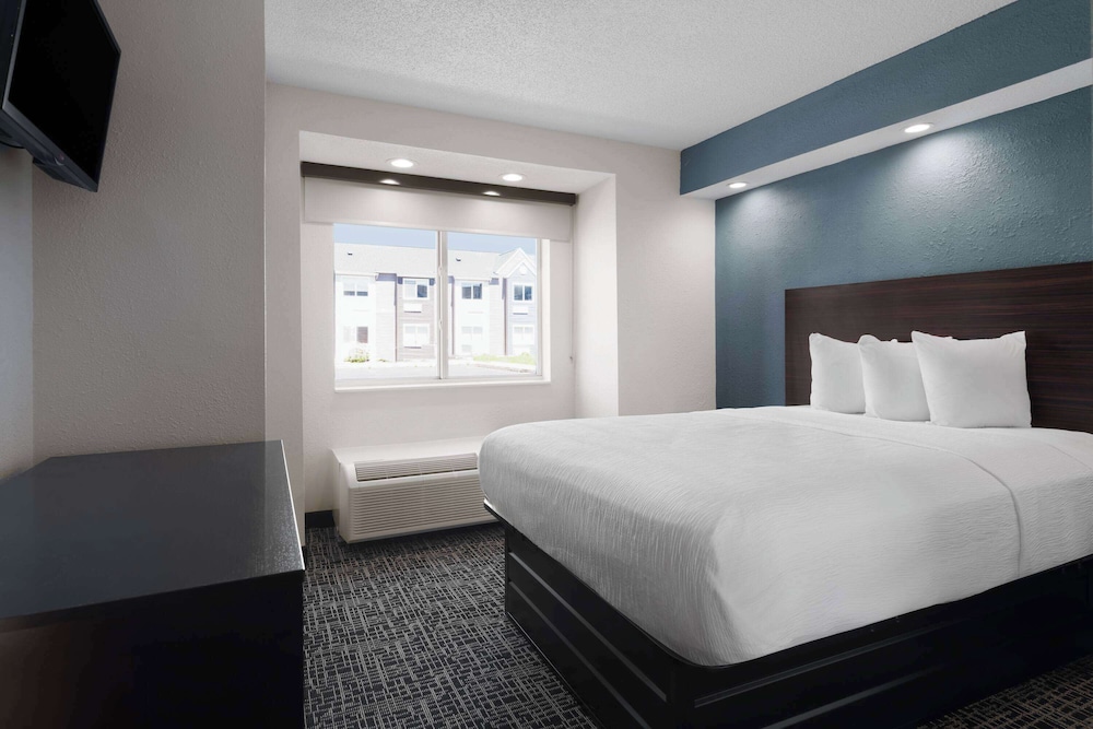 Suite, King Bed