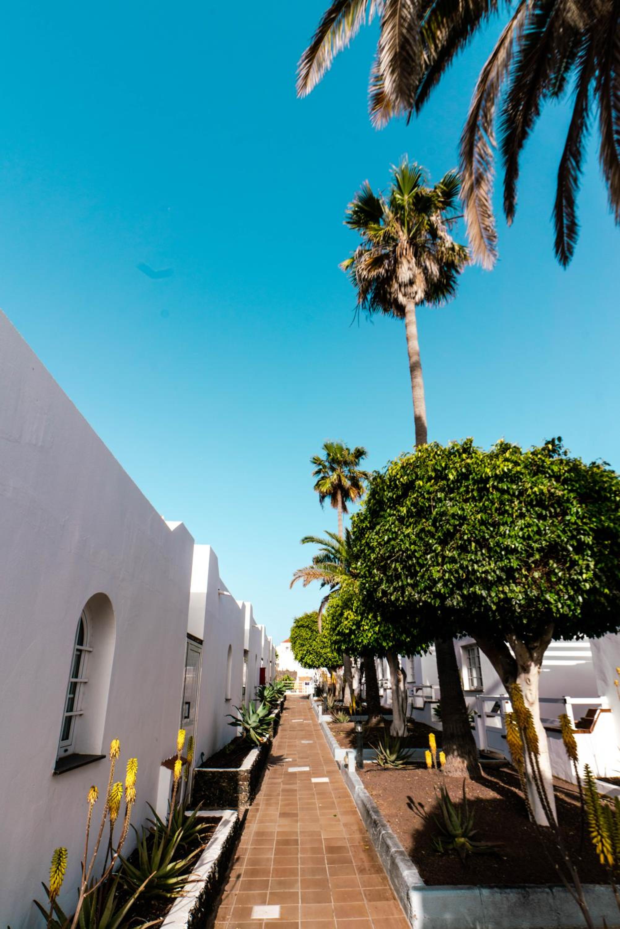 Las Casitas de Corralejo 40/58