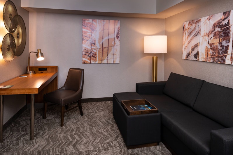 Springhill Suites Pittsburgh North Shore 18/29