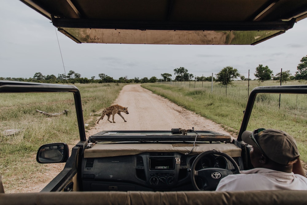Nkambeni Safari Camp 36/64